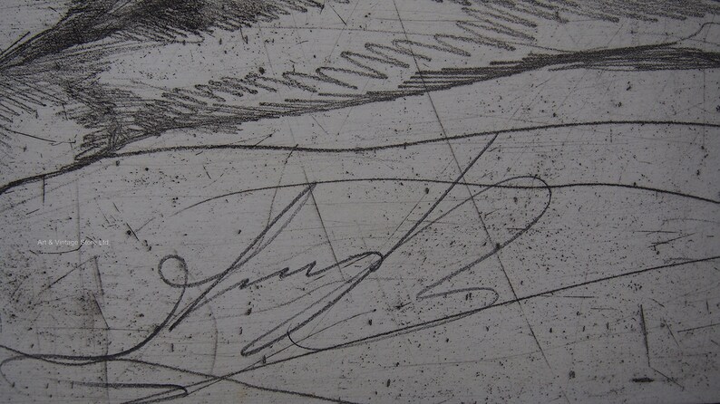 Ernst Fuchs Original Limited edition etching /& Aquatint 1967