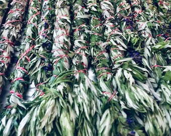 Mugwort, Garden Sage Blessing Herbs