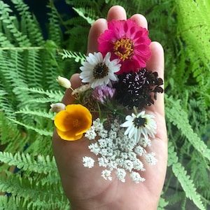 Holistic Health Consultation