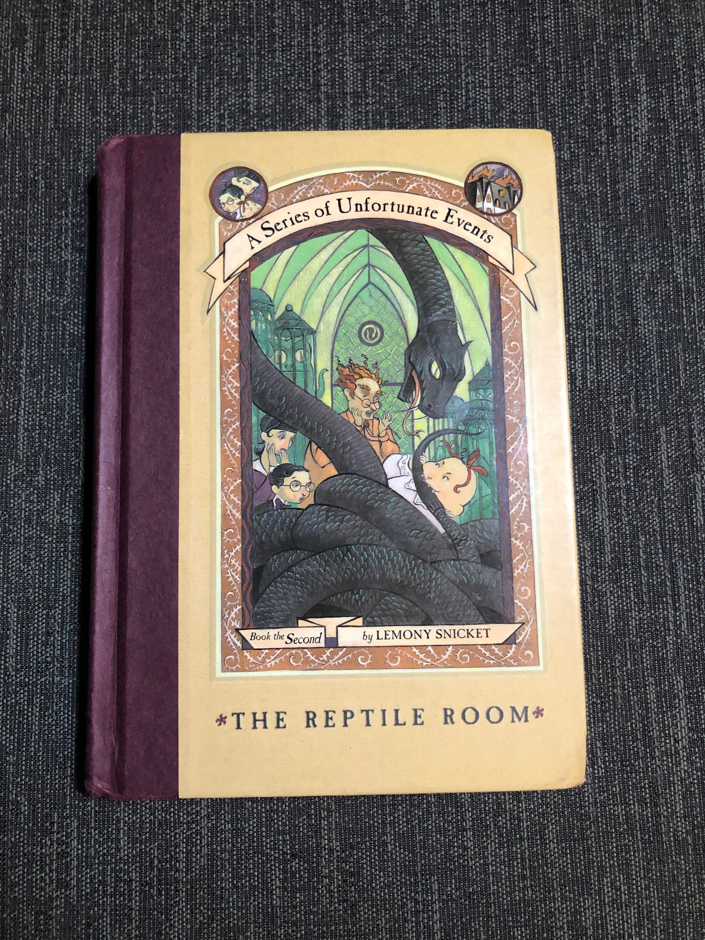 The Reptile Room A Series of Unfortunate Events Etsy