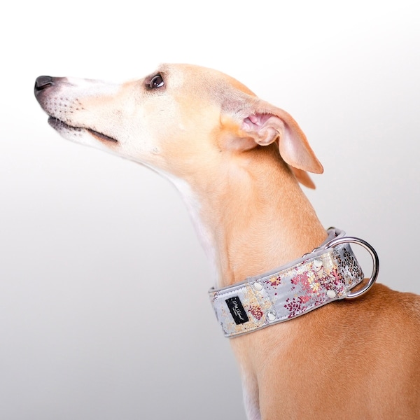 Martingale collar, Dog collar,Sighthound collar, Galgo collar, Greyhound collar, Saluki collar, dog collars