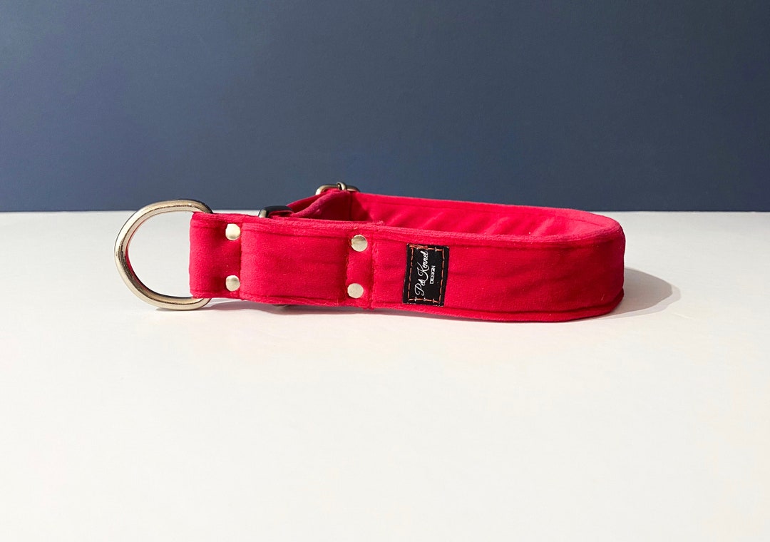 Velvet Amarant Martingale Collar, Dog Collar,sighthound Collar, Galgo