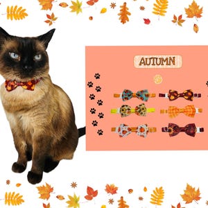 Può includere: Un gatto siamese con un papillon fantasia è seduto accanto a un'esposizione di sei diversi papillon. I papillon presentano vari motivi a tema autunnale. La parola "AUTUMN" è visualizzata su uno sfondo color pesca.
