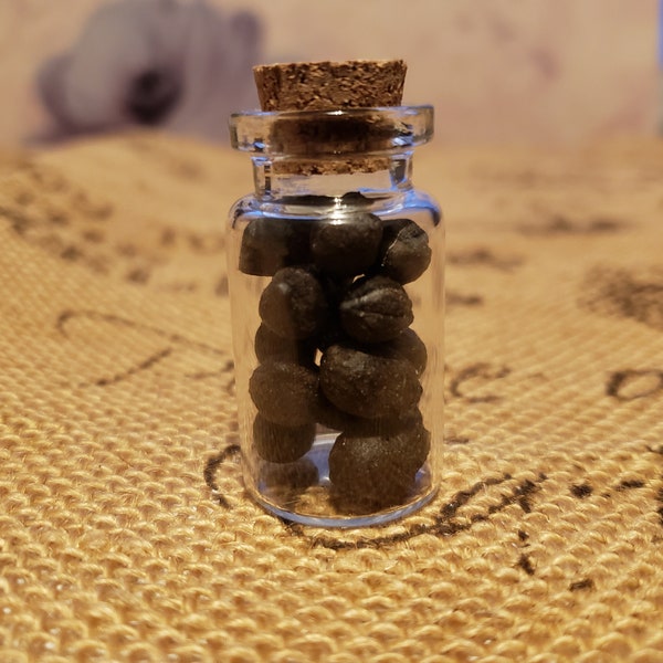 Real goat and rabbit pellets in glass vial / Real animal poop / Education / Curiosity / Dang / Funny gift