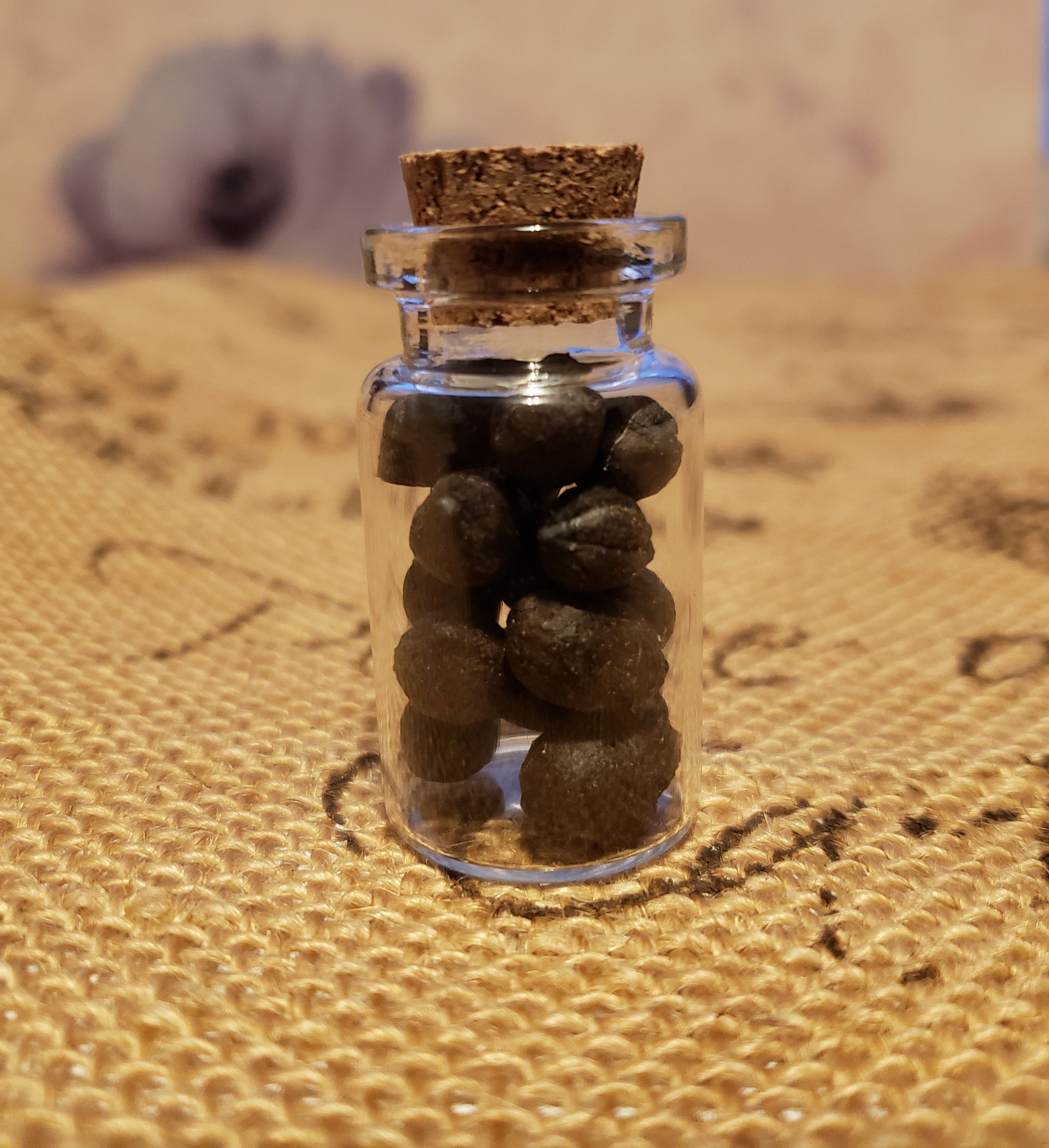 Real goat pellets in glass vial / Real animal poop / Education Etsy