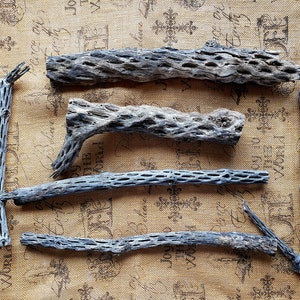 Cholla wood, branch, perch, art decor, floral decor, crafts
