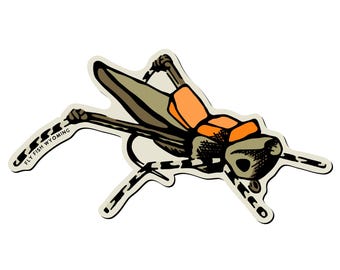 Hopper Time Sticker