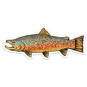 Trout Species Series - Brown Trout Sticker