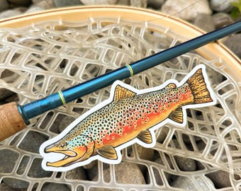 Trout Species Series - Brown Trout Sticker