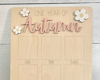 First Birthday Photo Board: Monthly Milestone Display, 3D Name