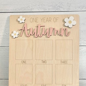 First Birthday Photo Board: Monthly Milestone Display, 3D Name