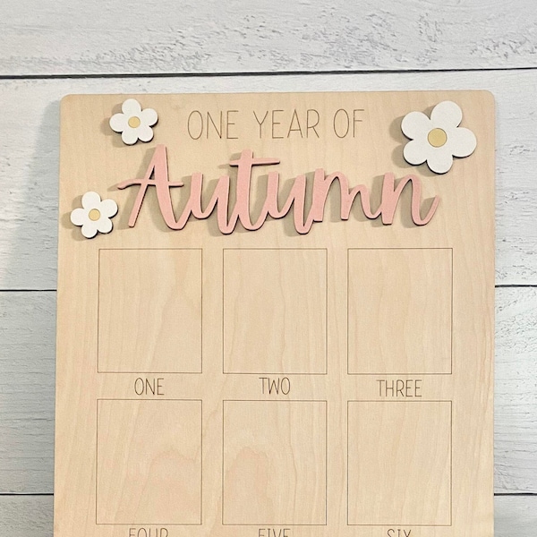 One Year of, First Birthday Display, Birthday Photo Board, Party Supplies, Wood Photo Board, Monthly Milestones, Birthday Decor, 3D Name