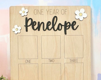 One Year Photo Board, 1st Birthday Milestone Board, Holds Wallet Sized Photos with Daisies