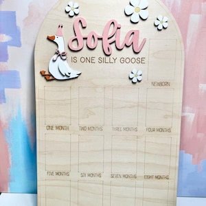 May include: Wooden milestone board with the name "Sofia" in pink script, a goose illustration, and daisy accents. The board has spaces for monthly photos from newborn to one year. The text "IS ONE SILLY GOOSE" is below the name.