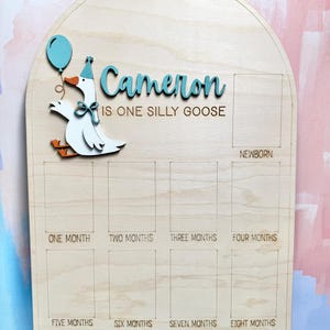Pu&ograve; includere: Lavagna di pietra miliare in legno con il nome "Cameron" in corsivo turchese, con un'oca dei cartoni animati che tiene in mano un palloncino. La lavagna ha spazi per le pietre miliari mensili e il testo "IS ONE SILLY GOOSE".
