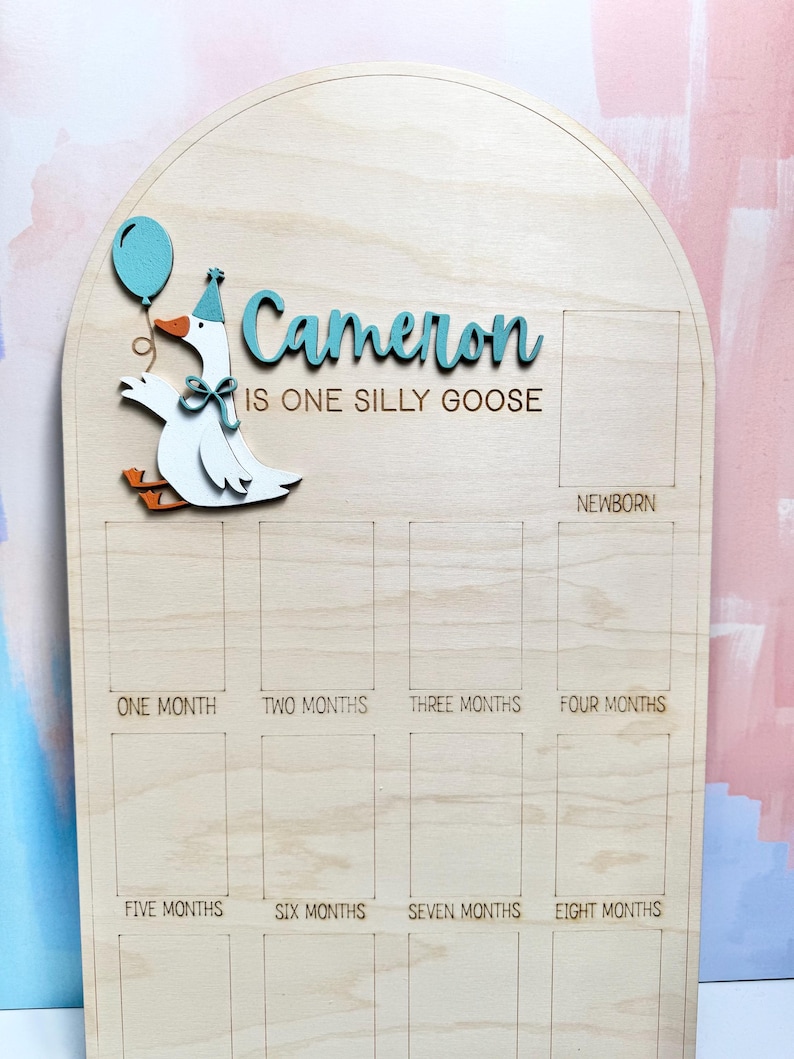 Pu&ograve; includere: Lavagna di pietra miliare in legno con il nome "Cameron" in corsivo turchese, con un'oca dei cartoni animati che tiene in mano un palloncino. La lavagna ha spazi per le pietre miliari mensili e il testo "IS ONE SILLY GOOSE".