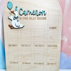 Pu&ograve; includere: Lavagna di legno per traguardi con un design a forma di oca. La lavagna presenta il nome "Cameron" in blu, insieme alla frase "IS ONE SILLY GOOSE". Include spazi per foto da neonato a un anno. Un palloncino blu &egrave; tenuto dall'oca.