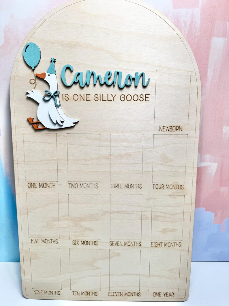 Pu&ograve; includere: Lavagna di legno per traguardi con un design a forma di oca. La lavagna presenta il nome "Cameron" in blu, insieme alla frase "IS ONE SILLY GOOSE". Include spazi per foto da neonato a un anno. Un palloncino blu &egrave; tenuto dall'oca.