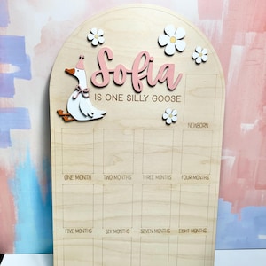 May include: Wooden milestone board with the name "Sofia" in pink script, a goose illustration, and the phrase "IS ONE SILLY GOOSE." The board has spaces for monthly photos and flower accents.
