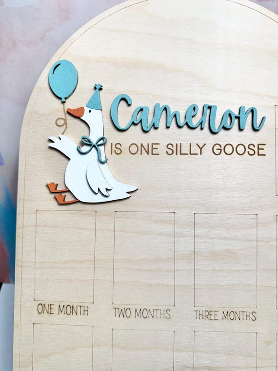 Personalized Silly Goose 1st Birthday Photo Board, Milestone Keepsake