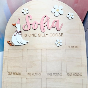 May include: Wooden milestone board with the name "Sofia" in pink script, a cartoon goose, and daisy accents. The board includes spaces for monthly photos and the text "IS ONE SILLY GOOSE".