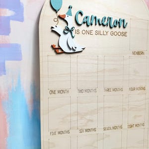 Pu&ograve; includere: Lavagna di legno per pietre miliari con un design a forma di oca. La lavagna presenta il nome "Cameron" in verde acqua, insieme alla frase "IS ONE SILLY GOOSE". Ha spazi per le pietre miliari mensili, dalla nascita a un anno.