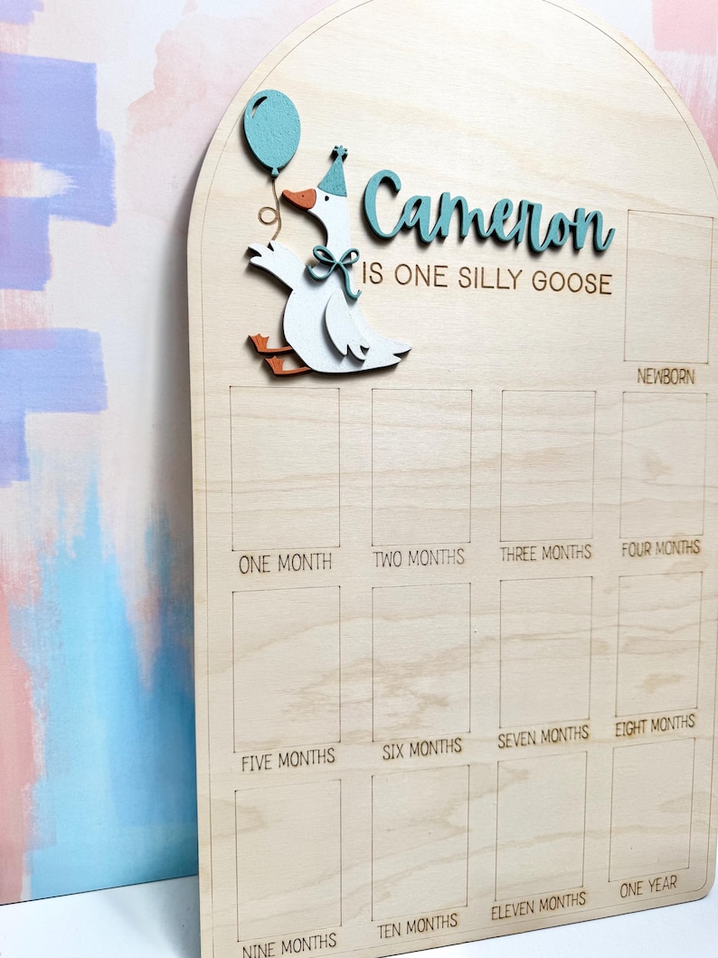 Pu&ograve; includere: Lavagna di legno per pietre miliari con un design a forma di oca. La lavagna presenta il nome "Cameron" in verde acqua, insieme alla frase "IS ONE SILLY GOOSE". Ha spazi per le pietre miliari mensili, dalla nascita a un anno.