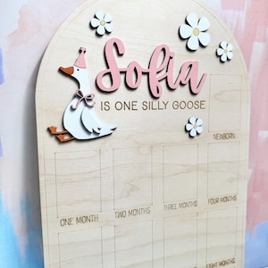May include: Wooden milestone board with the name "Sofia" in pink script, a cartoon goose, and flower accents. The board is designed to track a baby's first year, with labeled boxes for each month.