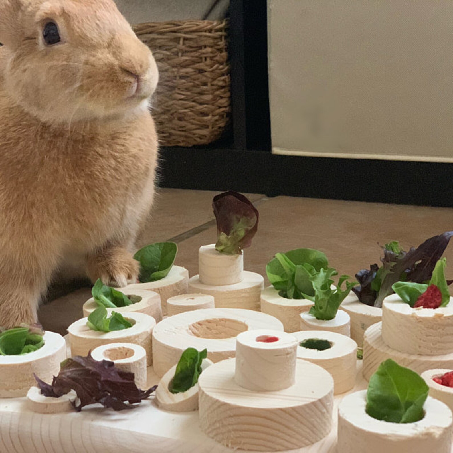 Foraging and chew toy for rabbits and small animals also ideal Etsy