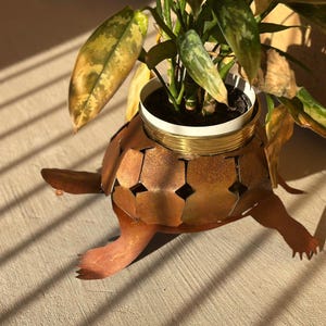 May include: A rusty metal turtle planter with a gold rimmed white pot holding a green plant with variegated leaves.