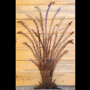 Iron Ocotillo Succulent Cactus | Metal Wall Art ~ Flat Wall Mounted Iron Sonoran Desert Metal Art Yard Patio Garden Decor Rustic