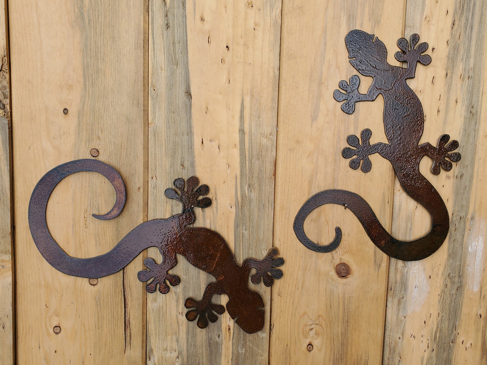 Iron Gecko Lizard Metal Wall Art Cactus Garden Decor Flat Etsy
