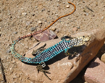 Hand Painted Whiptail Lizard | Metal Yard Art ~ 10" X 8" Iron Southwest Sonoran Desert Metal Art Arizona Yard Decor Spotted Canyon