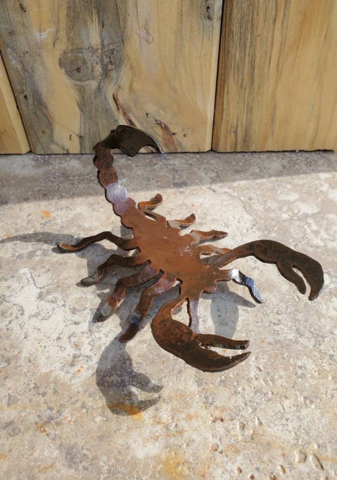 Iron Scorpion Metal Art 6 X 4.5 Iron Southwest Sonoran Desert Metal Art