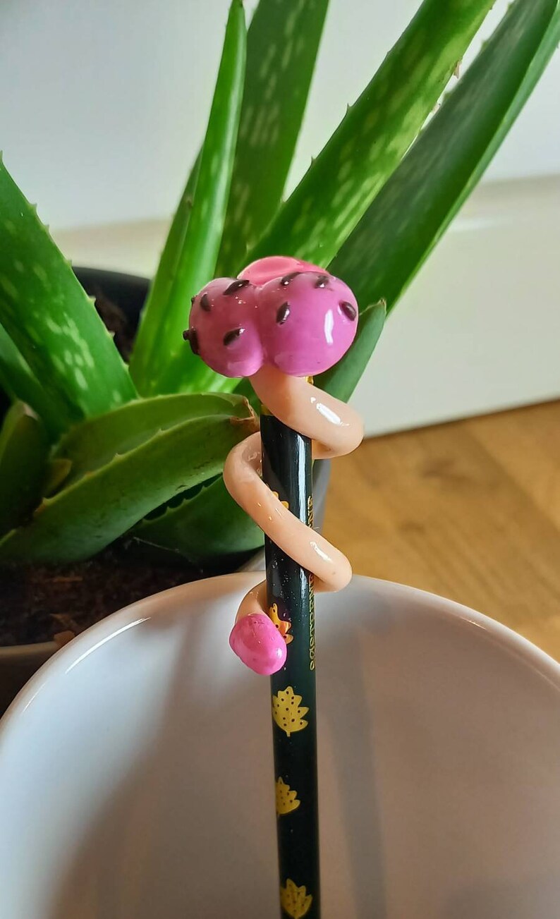Penis Spiral Pencil Topper Novelty Pen Topper Funny - Etsy