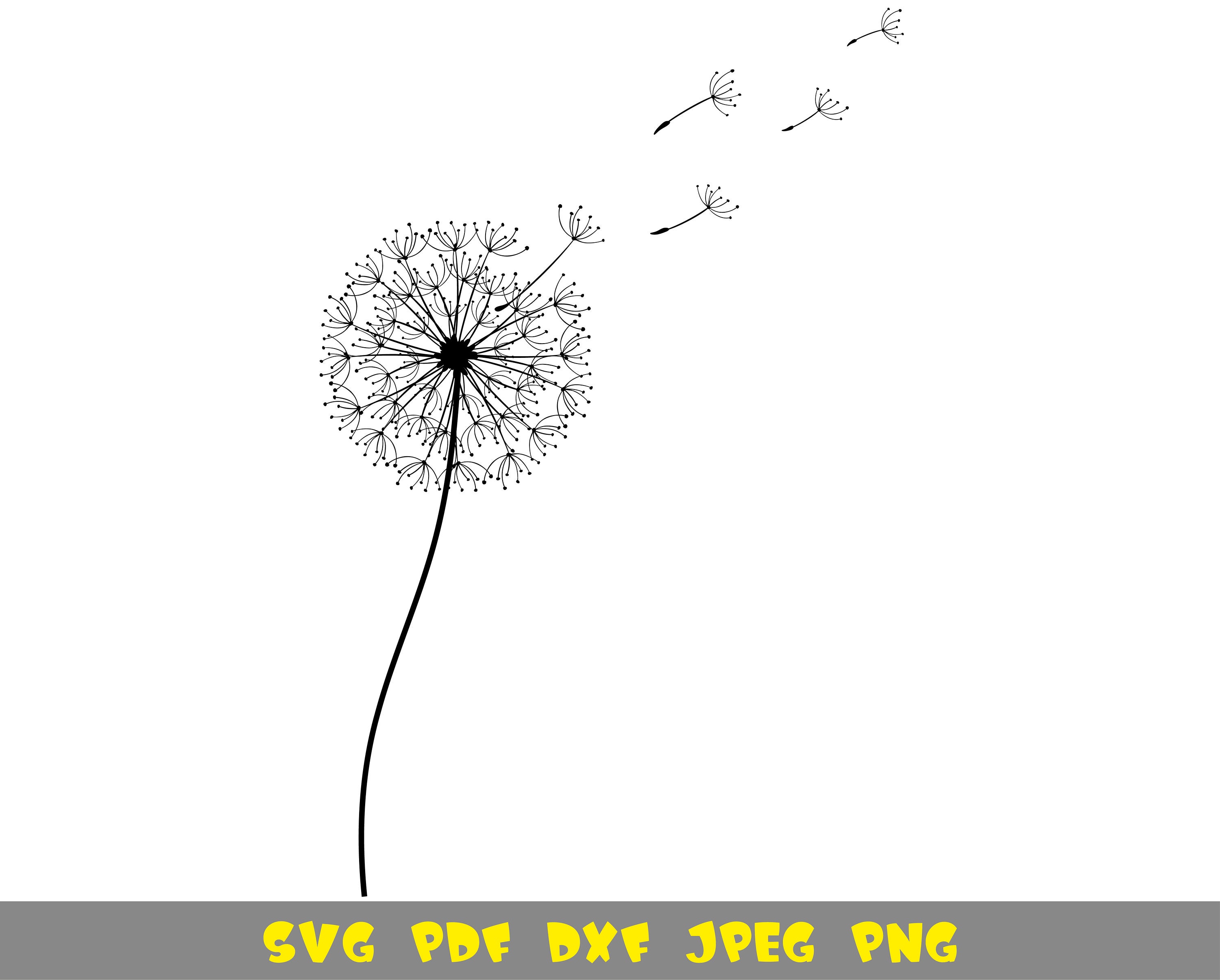 Dandelion svg file creative floral print SVGPNGJPG shirt cut file Cricut vi...