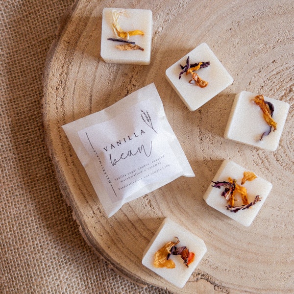 Individual Scented Wax Melts Samples | Autumn, Cosy, Birthday Gift, Self Care, Winter, Halloween, Thank You, Laundry | Christmas 2024