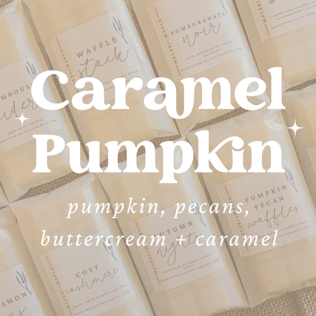 Caramel Pumpkin Scented Soy Wax Melt Recyclable Snap Bar Autumn, Cosy