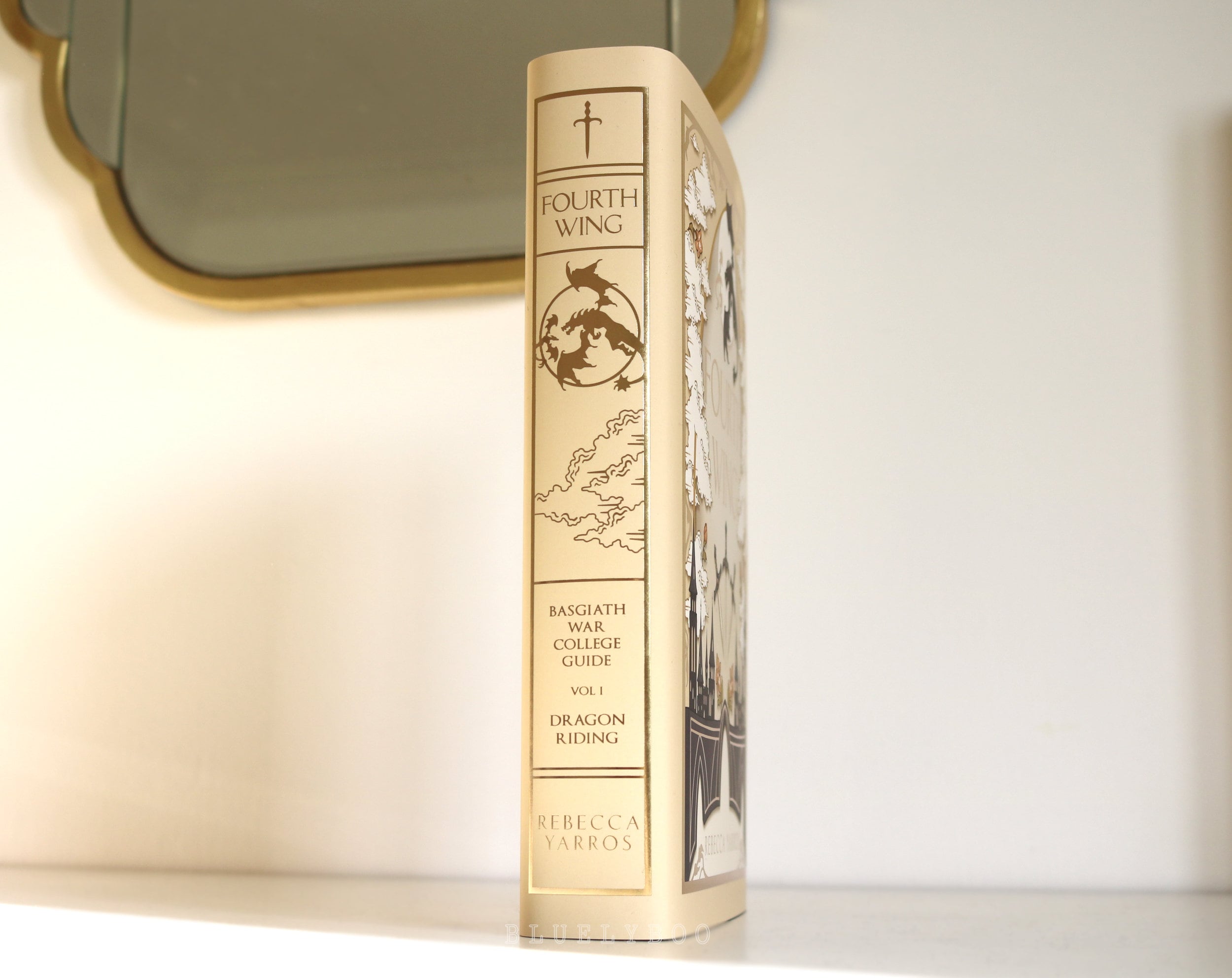 Dust Jacket Fourth Wing, Iron Flame - Officially Licensed Book Cover Bookish
