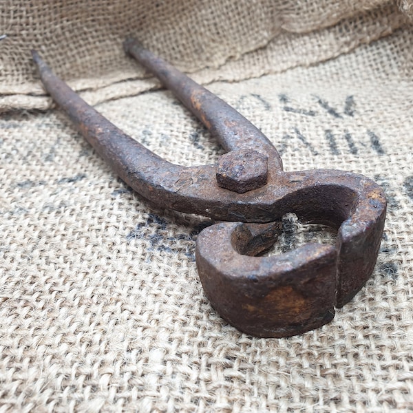 Antique Farrier Tools Etsy UK