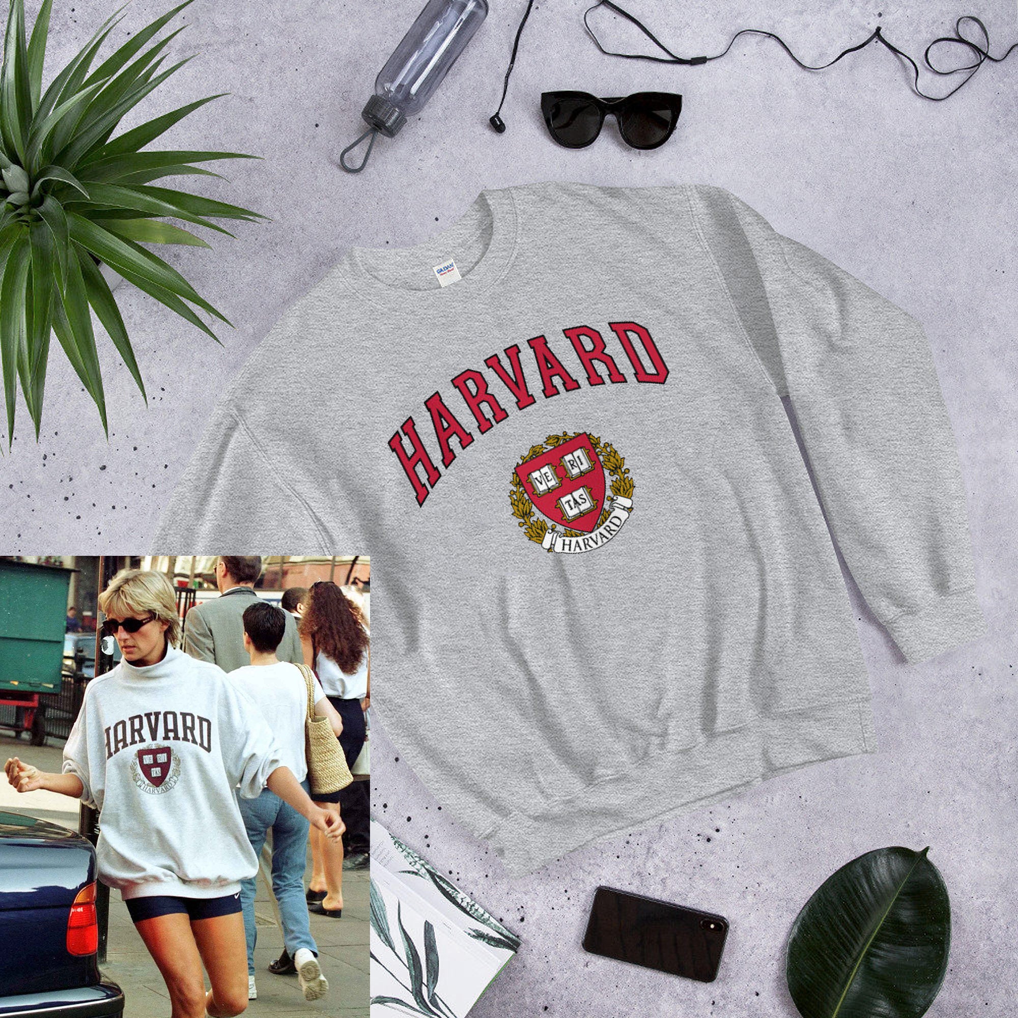 diana harvard sweater