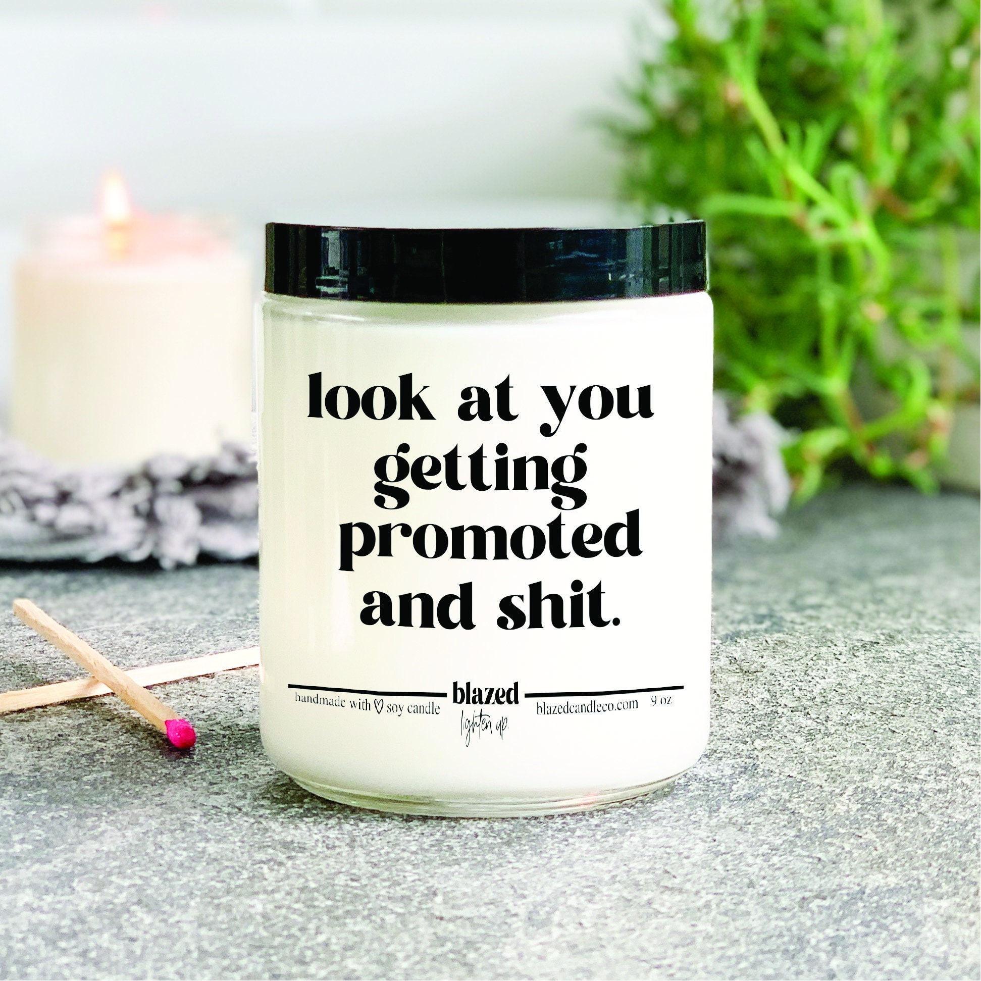 Look at You Getting Promoted and Shit Candle Funny Promotion pic