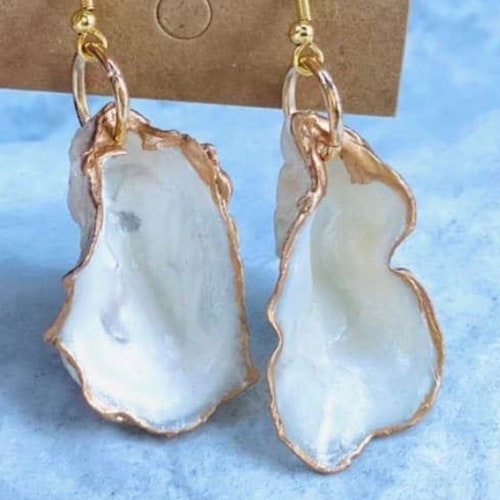 Spiral Shell Stud Earrings Beach Shell Studs Iridescent Etsy