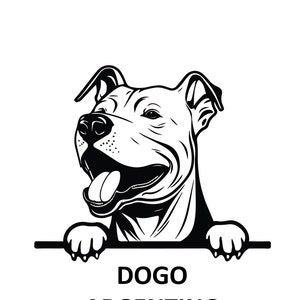 PEEKING DOGO ARGENTINO Svg, Peeking Dogo Argentino Svg Files For Cricut, Peeking Dogo Argentino Clipart