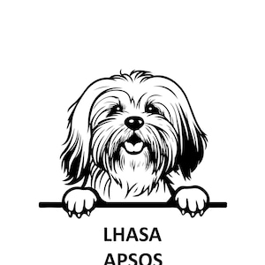 PEEKING LHASA APSOS Svg, Peeking Lhasa Apsos Svg Files For Cricut, Peeking Lhasa Apsos Clipart