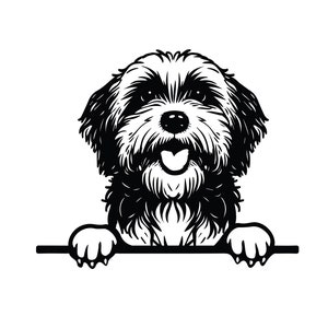 PEEKING HAVANESE SVG, Peeking Havanese Clipart, Peeking Havanese Svg Files For Cricut