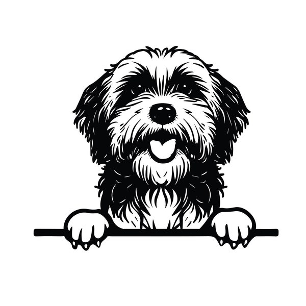 SPICKEN HAVANESE SVG, spähen Havaneser Clipart, spähen Havaneser SVG-Dateien für Cricut