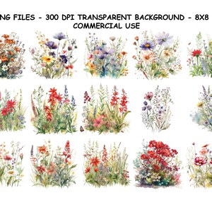 WASSERFARBE WIESENBLUMEN Clipart, Wiesenblumen Png, Frühling Wildblumen Floral für kommerzielle Nutzung