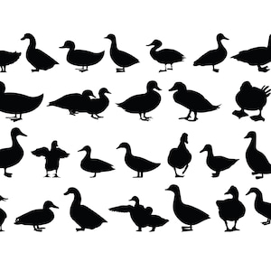 DUCK SVG, FARM Animals Svg, Farm Animal Svg cut files for Cricut, Duck Cut files for Cricut