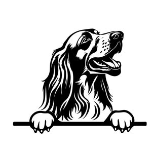 PEEKING IRISH SETTER Svg, Peeking Irish Setter Pliki Svg dla Cricut, Peeking Irish Setter Clipart